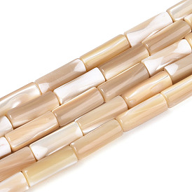 Натуральная оболочка из трохидных оболочек, колонка