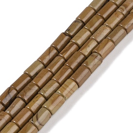 Natural Wood Lace Stone Beads Strands, Column