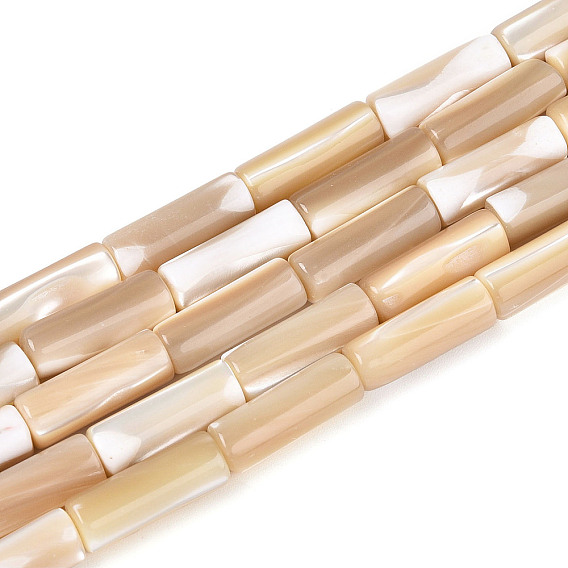 Натуральная оболочка из трохидных оболочек, колонка