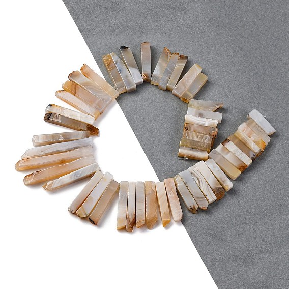 Нити из натурального дендритного агата, 25~73x5~12x6~10 мм, отверстие : 1 мм, около 40 шт / нитка, 15.3 дюйм