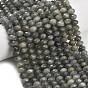 Природные лабрадорита бисер нитей, рондель, граненые