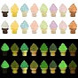 Ornements lumineux en résine pour présentoirs à glaces, accessoires pour micro-paysage, faire semblant de décorations d'accessoires, brillent dans le noir