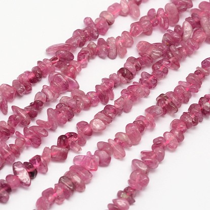 Chips Natural Tourmaline Beads Strands, 3~8x3~12x3~5mm, Hole: 1mm, about 16 inch