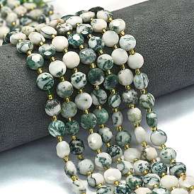 Натурального дерева агат бисер нитей, граненый пятиугольный разрез, плоско-круглые, с бисером