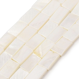 Natural Freshwater Shell Beads Strands, Rectangle