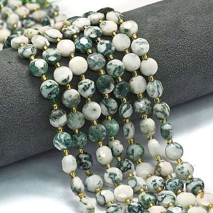 Натурального дерева агат бисер нитей, граненый пятиугольный разрез, плоско-круглые, с бисером