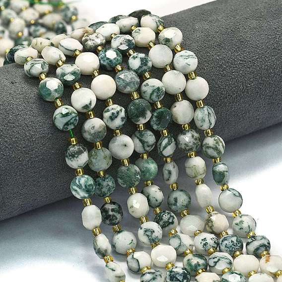 Натурального дерева агат бисер нитей, граненый пятиугольный разрез, плоско-круглые, с бисером