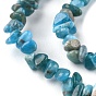 Natural Apatite Beads Strands, Chip