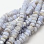Dyed Natural Blue Lace Agate Chip Beads Strands, 7~9x7~9mm, Hole: 1mm, about 72~83pcs/strand, 15.7 inch