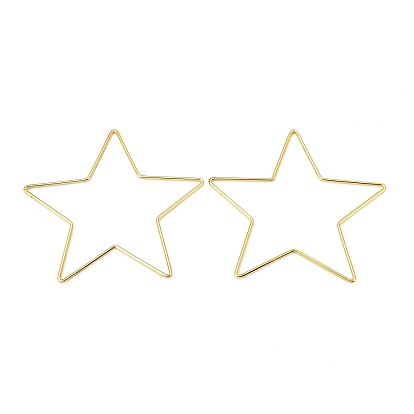 Связывающий железо кольца, Диетические аксессуары, звезда