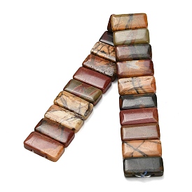 Нити из натуральных полихромных бусин яшмы/яшмы Пикассо, прямоугольные, 2-луночное