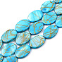 Freshwater Shell Beads Strands, Drawbench, Dyed, Oval, Deep Sky Blue