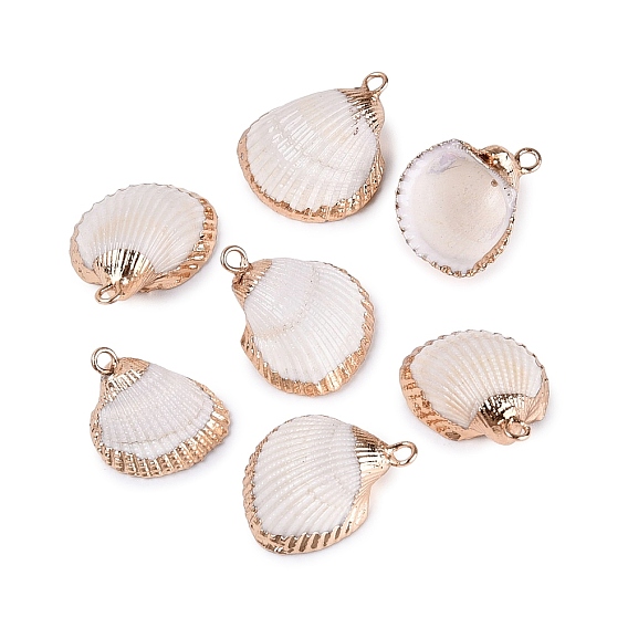 Electroplated Golden Brass Trim Natural Sea Shell Pendants, Shell Shape Charms