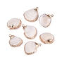 Electroplated Golden Brass Trim Natural Sea Shell Pendants, Shell Shape Charms
