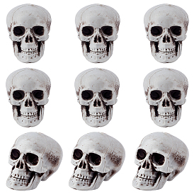 Plastic Skull Home Decorations, for Halloween