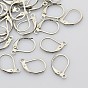316L Surgical Stainless Steel Leverback Earring Findings, with Loops