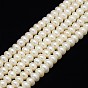 Grade A Natural Cultured Freshwater Pearl Beads Strands, Polished, Rondelle
