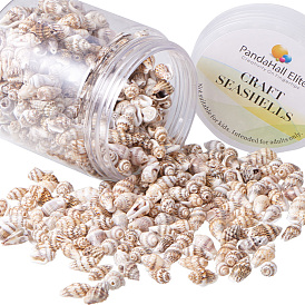 Natural Spiral Shell Beads