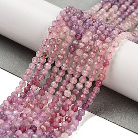 Natural Plum Blossom Tourmaline Beads Strands, Faceted, Round