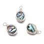 Natural Abalone Shell/Paua Shell Pendants, with Eco-Friendly Copper Wire Wrapped, Oval