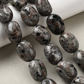 Натуральный флуоресцентный сиенитовый камень (светящийся в ультрафиолетовом свете) бусины нити, кофейный боб