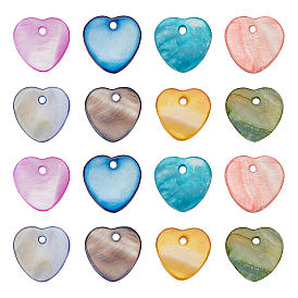 160Pcs 8 Colors Natural Freshwater Shell Charms, Dyed, Heart