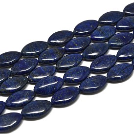 Natural Lapis Lazuli Beads Strands, Horse Eye