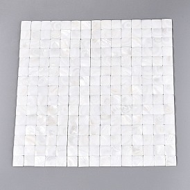 Mosaïque de coquillages d'eau douce naturels cabochons, carrée, dos plat