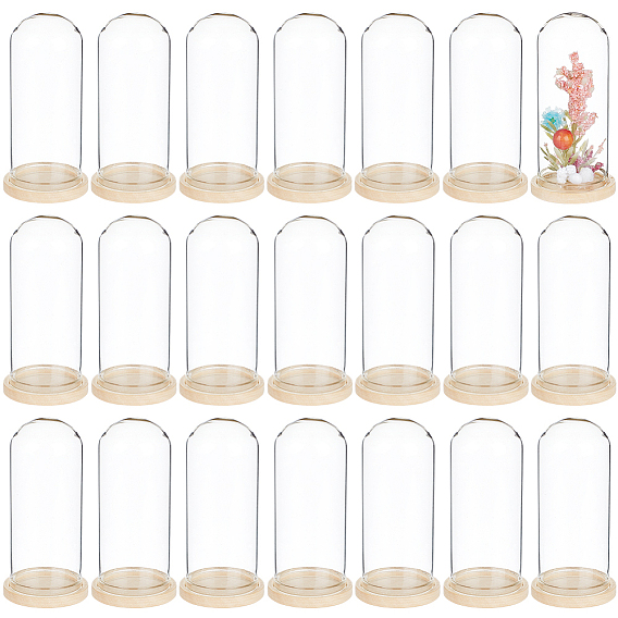 30 шт. купольная крышка из арочного стекла, декоративная витрина, террариум в виде колокольчика, с 30настройками для деревянных подносов