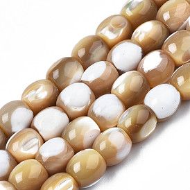 Brins de coquille de trochid naturel/perles de troca, baril