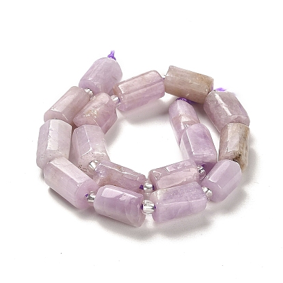 Natural Kunzite Beads Strands, with Seed Beads, Faceted, Column
