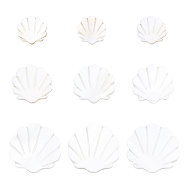 30Pcs 3 Sizes Natural Freshwater Shell Beads, Scallop Shape