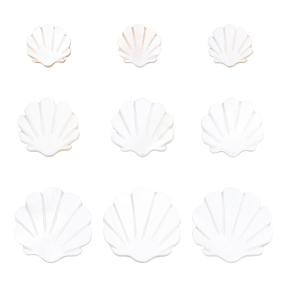 30Pcs 3 Sizes Natural Freshwater Shell Beads, Scallop Shape