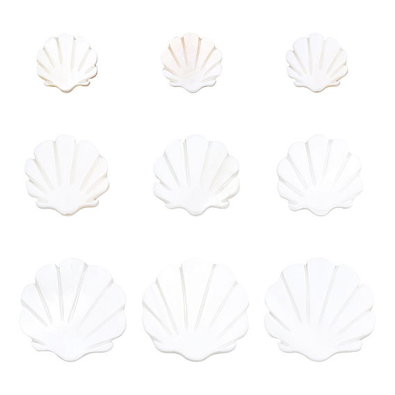 30Pcs 3 Sizes Natural Freshwater Shell Beads, Scallop Shape