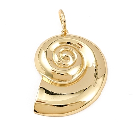 Латунные подвески, формы раковины, стойки покрытие, долговечный, без свинца и без кадмия, с целью перехода в кольце