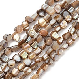 Натуральные бусины из ракушек трохуса, самородки