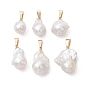 Подвески из натурального барочного жемчуга кеши, подвески-шармы Nuggets с защелками из нержавеющей стали, белые