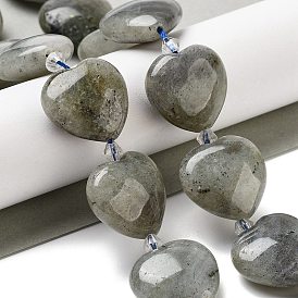 Natural Labradorite Beads Strands, Heart, with Seed Beads