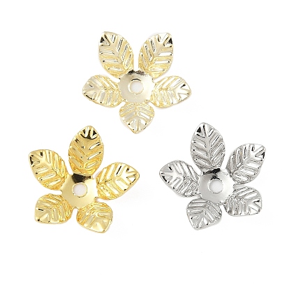 Шапочки и конусы для бусин, латунные, 5-лепестков цветка