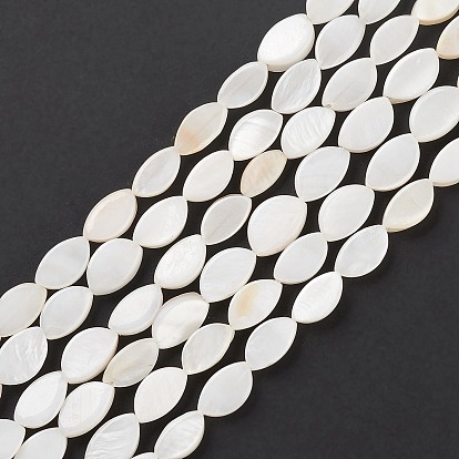 Natural Freshwater Shell Beads Strands, Oval