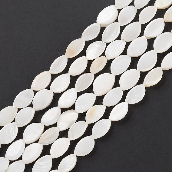 Natural Freshwater Shell Beads Strands, Oval