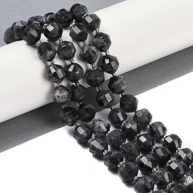 Natural Larvikite Beads Strands, Faceted, Bicone, Double Terminated Point Prism Beads