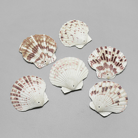 Sea Shell Big Pendants
