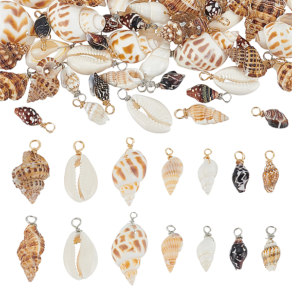 140шт 14 стили натуральные подвески из смешанных ракушек, Подвески в форме ракушки с петлями из медной проволоки, платиной и золотом