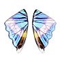 Transparent Epoxy Resin Big Pendants, Wing Charms