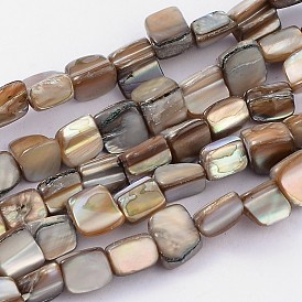 Natural Sea Shell Beads, Irregular