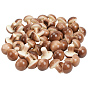 50Pcs Foam Mushroom Display Decorations, for Home Office Desk
