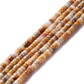 Natural Crazy Lace Agate Beads Strands, Flat Round