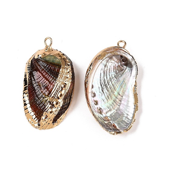 Природные пауа оболочки подвески, подвески в форме ракушек с золотистыми железными петлями