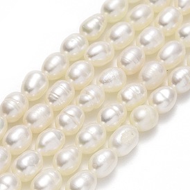 Natural Cultured Freshwater Pearl Beads Strands, Rice